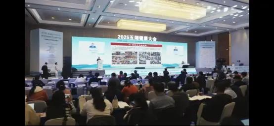 2025 Wuhu Health Conference · 9th China Chronic Disease Management and Health Industry Conference · On-site 2